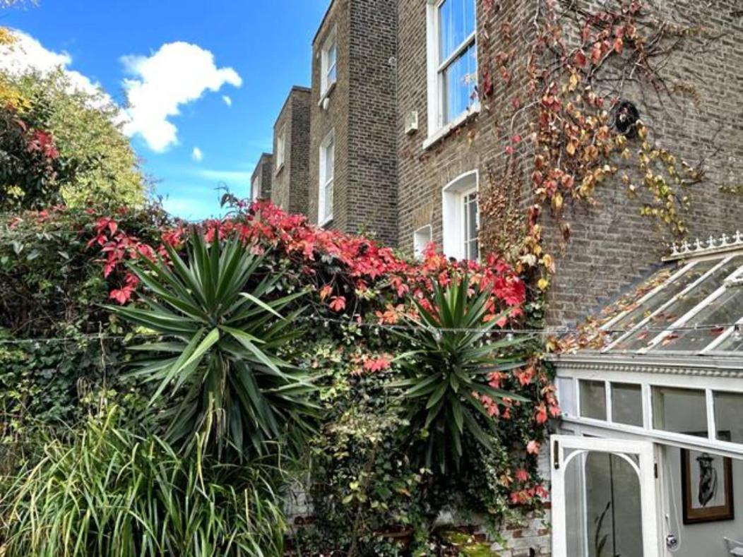 Kensington Secret Gem Lejlighed London Værelse billede